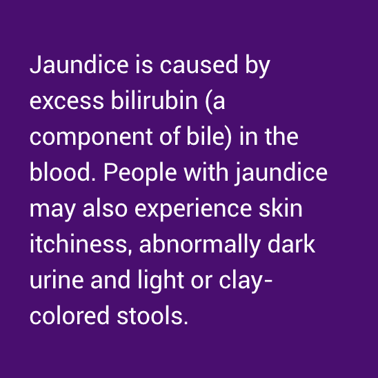 symptom - jaundice text