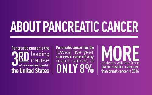 Support Purple: The Pancreatic Cancer Ribbon