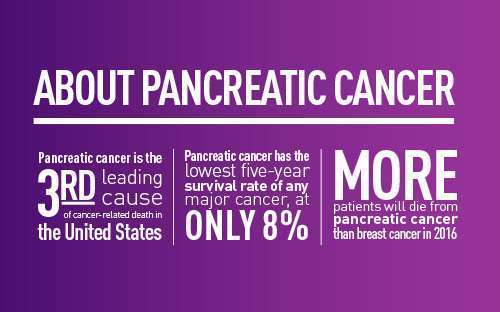 pancreatic cancer awareness