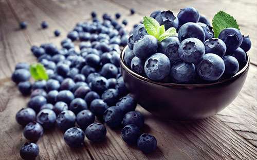 blueberry-recipes-and-health-benefits-for-cancer-patients-pancreatic