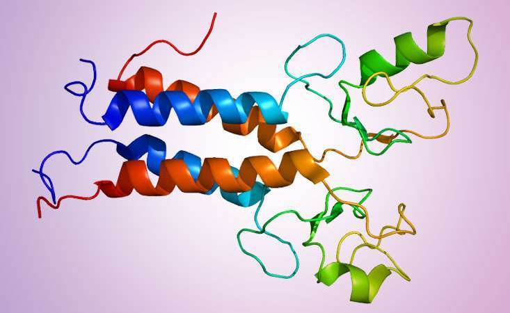 Non-BRCA Gene Mutations That Raise Breast Cancer Risk