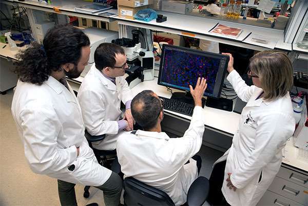 MD Anderson researchers are looking for better treatment options for pancreatic cancer patients.