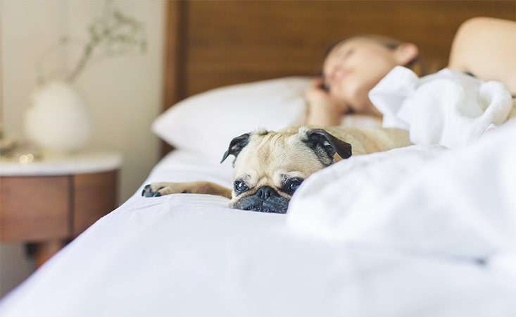 A pancreatic cancer caregiver makes sure to get enough sleep. 