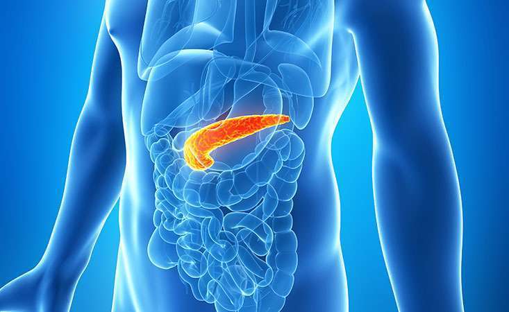 how quickly does pancreatitis develop