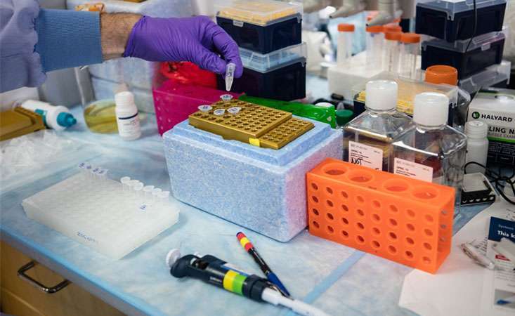 Researcher pouring liquid into a beaker to understand biology of pancreatic cancer.