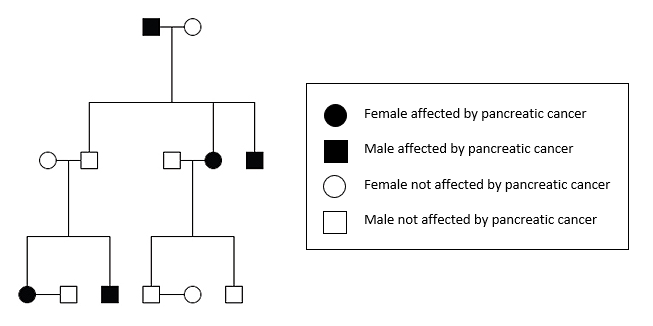 A family tree showing relatives with pancreatic cancer