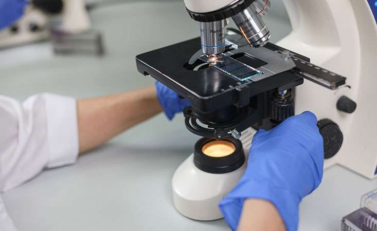 Researcher looks at microscope to study new pancreatic cancer treatment combination