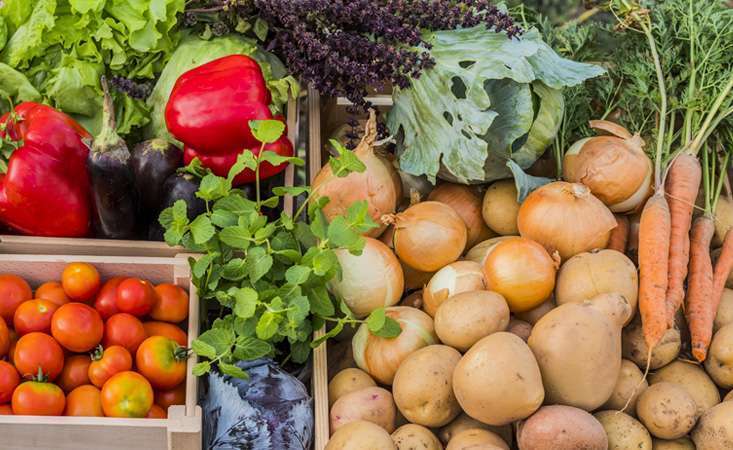 Variety of fruits and vegetables