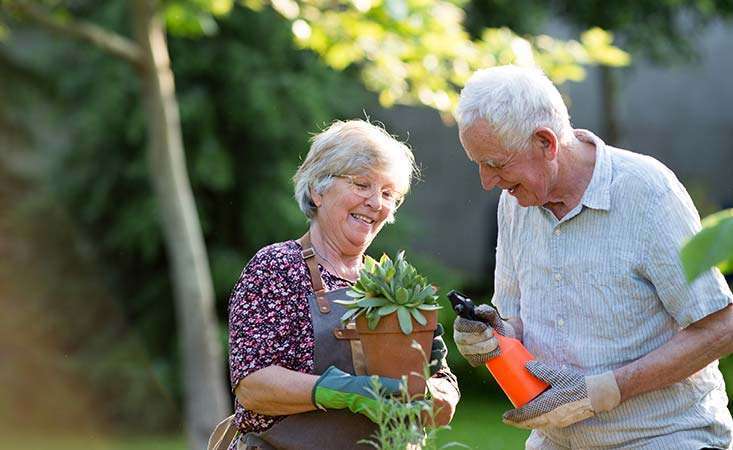 Pancreatic cancer patient copes with grief by continuing her hobby, gardening