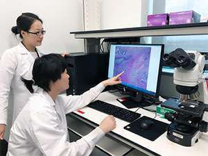 Two researchers examine scan of a pancreatic cancer tumor