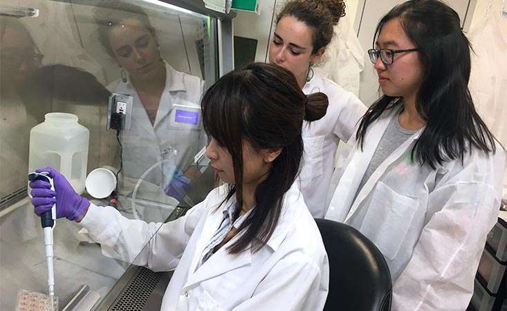 Pancreatic cancer researcher demonstrates lab technique for two trainees