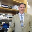 Pancreatic cancer researcher in lab focused on personalizing treatment for patients