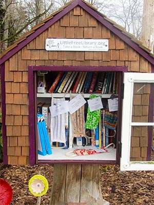 PanCAN partner Little Free Library becomes essential neighborhood centers during outbreak.