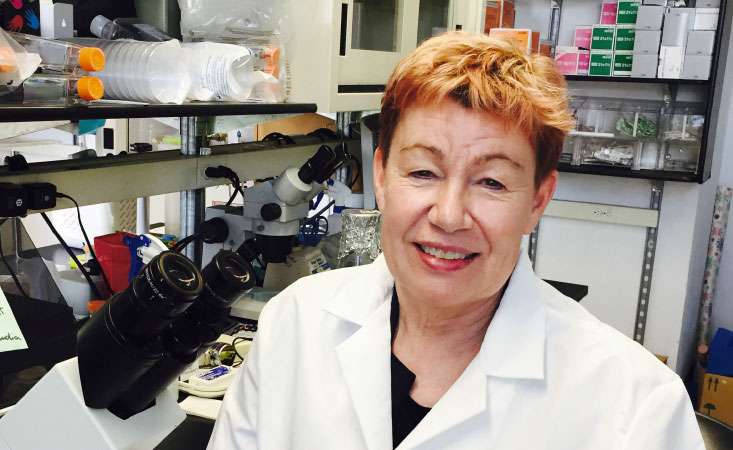 Pancreatic cancer researcher immigrated to the U.S. from the Netherlands