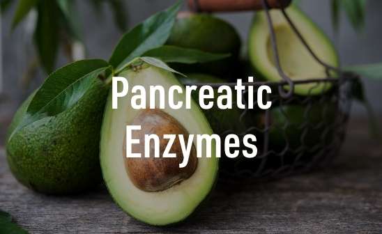 Pancreatic Enzymes