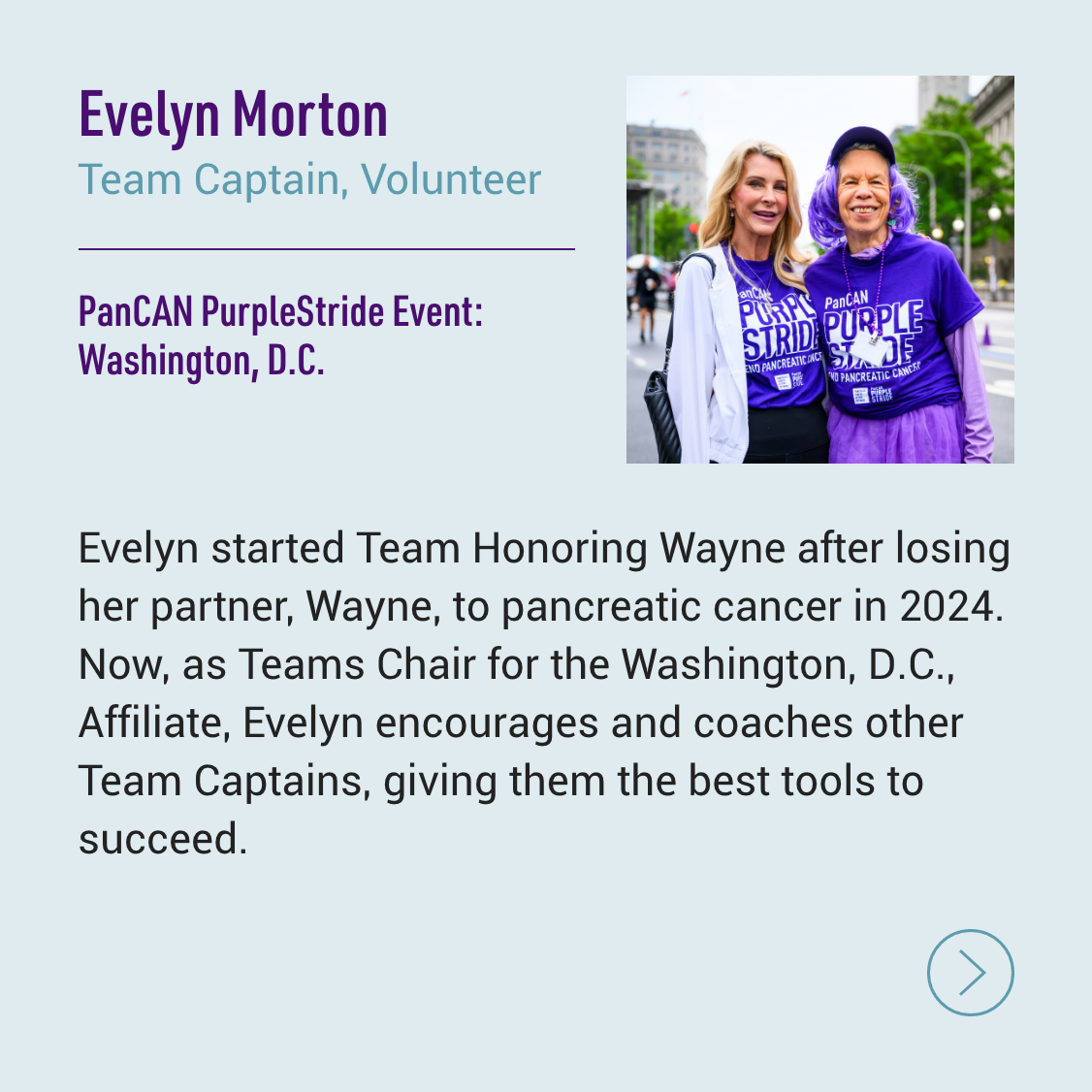 strider - Evelyn Morton