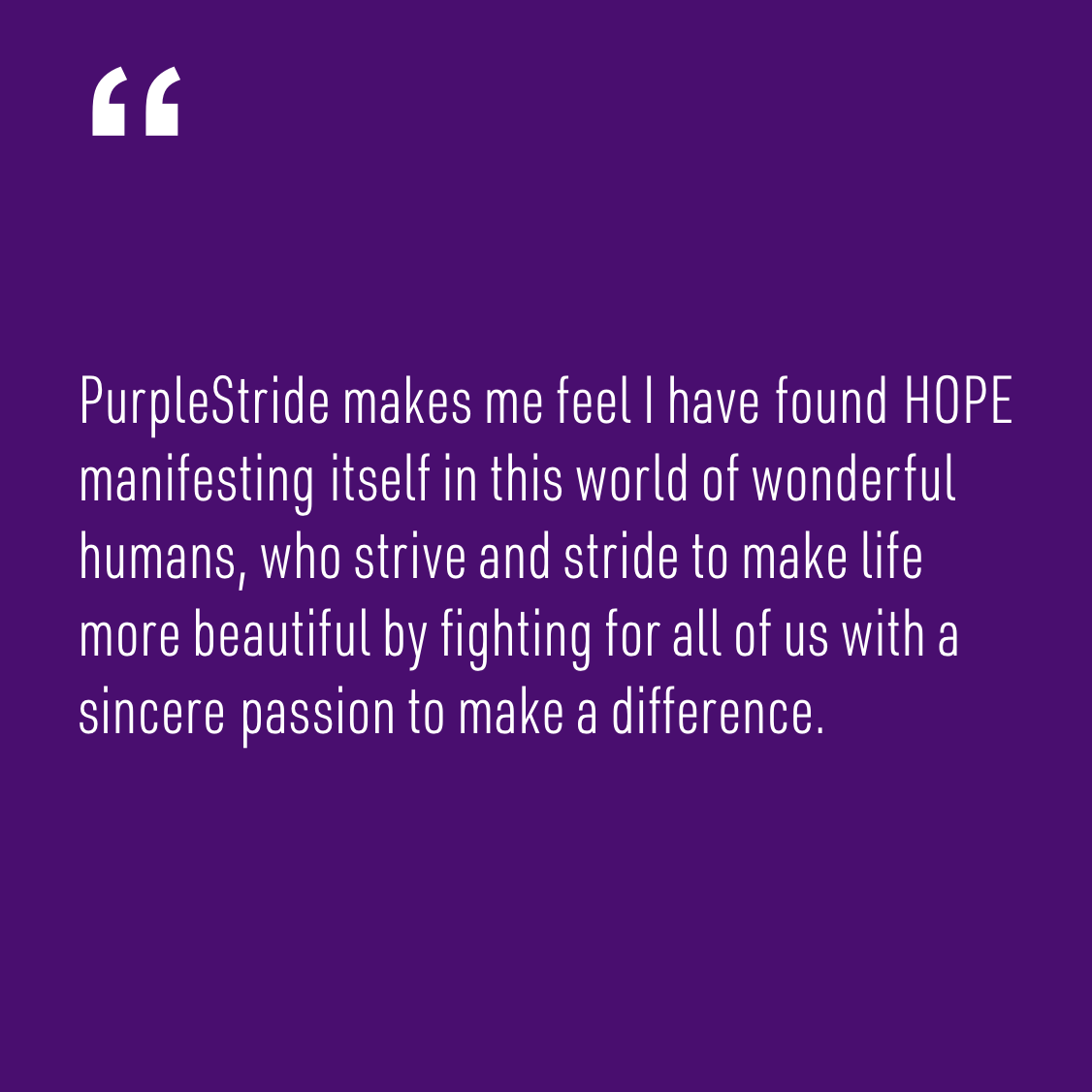 strider - Robert Panacci quote